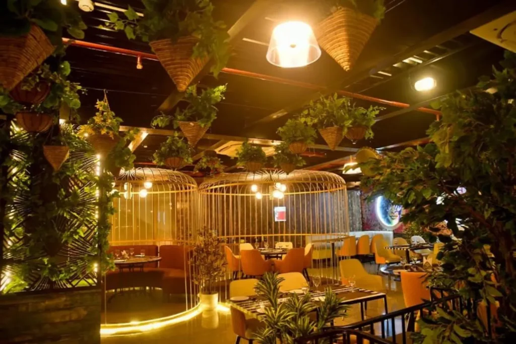 Top 10 Best Restaurants In Bettiah In Hindi