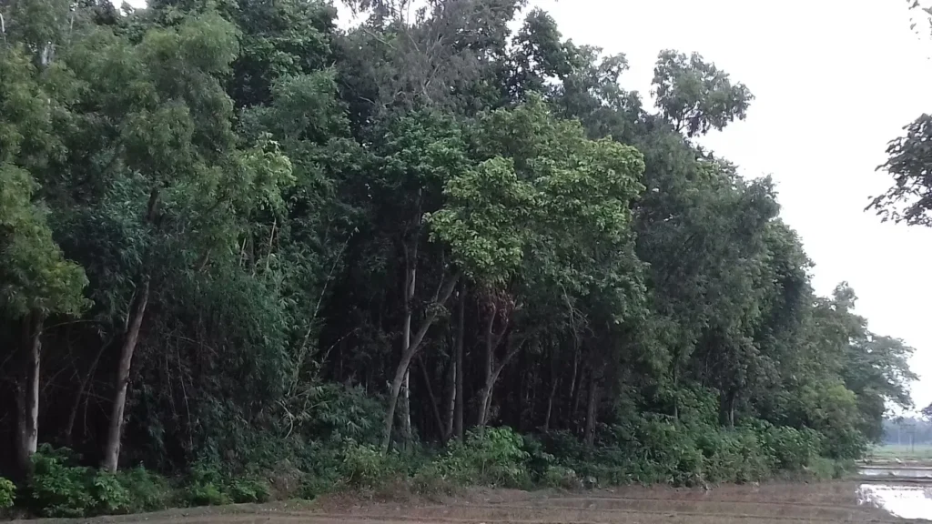 West Champaran Tourist Places